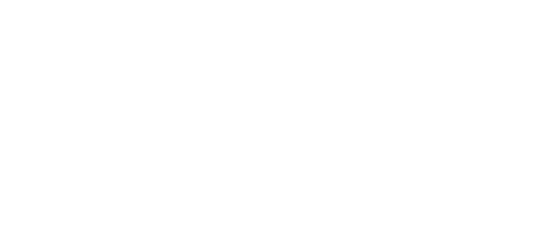 MADISON GROUP